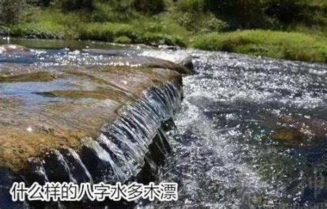 水多木漂|八字中水多木漂是什么意思 水多木浮的八字